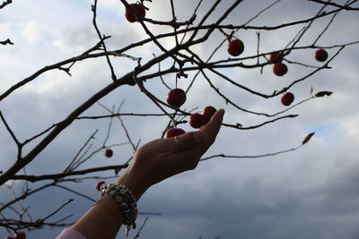 Low angle view of cropped hand against clear sky