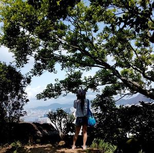 tree