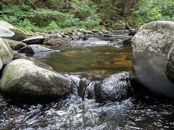 Stream flowing through rocks in forest