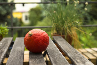 Close-up of apple on wooden bench
