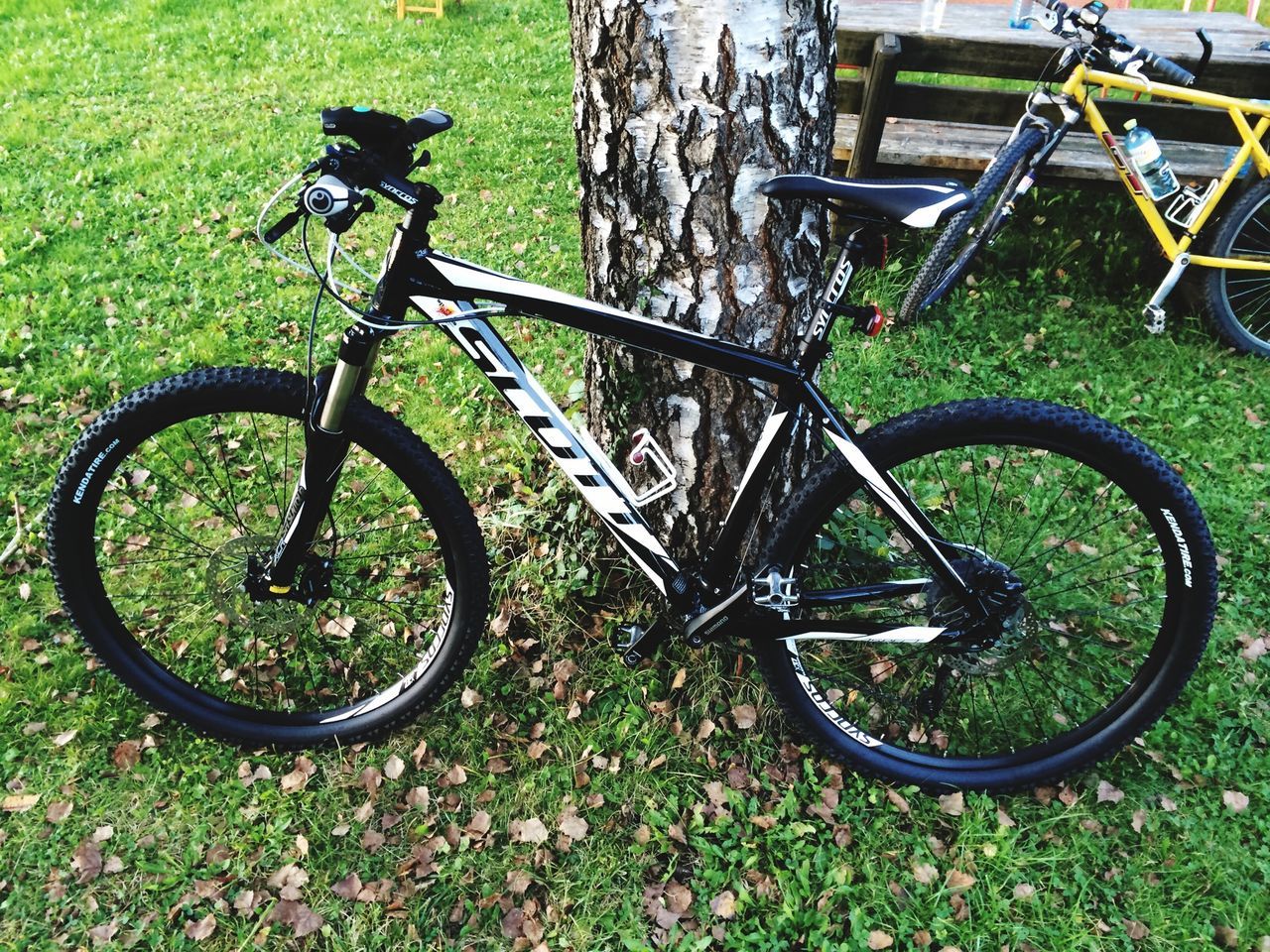 bicycle, grass, land vehicle, stationary, transportation, mode of transport, metal, field, parking, wheel, growth, day, grassy, no people, outdoors, plant, absence, nature, parked, tree