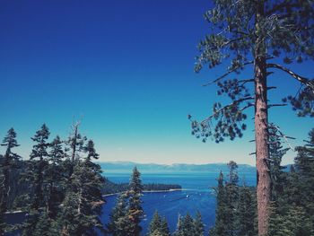 Scenic view of lake against clear blue sky