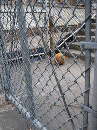 Chainlink fence in cage