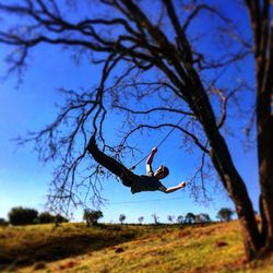 Bare tree on grassy field