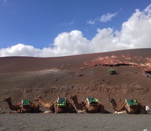 Scenic view of desert against sky