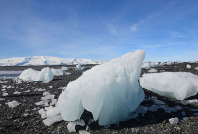 Iceburgs on a black sand beach in iceland