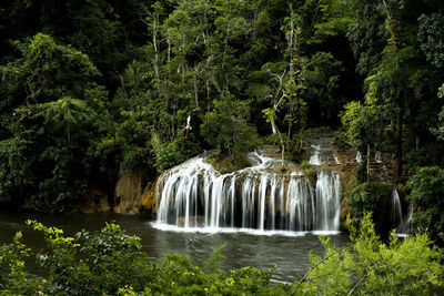 Scenic view of waterfall in forest