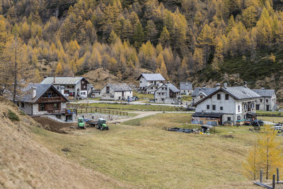 The colours of autumn at the alpe devero, little village in the mountains