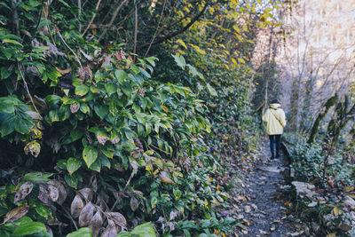 Rear view of woman walking on footpath in forest