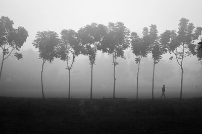 Trees on field against sky