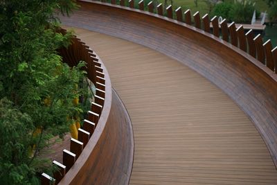 Boardwalk amidst plants