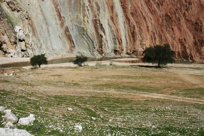 Scenic view of landscape