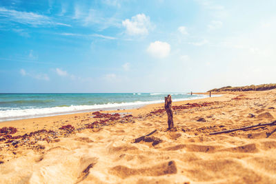 Scenic view of beach against sky