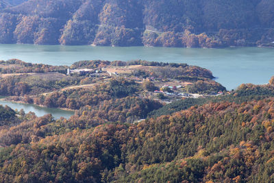 High angle view of trees by sea