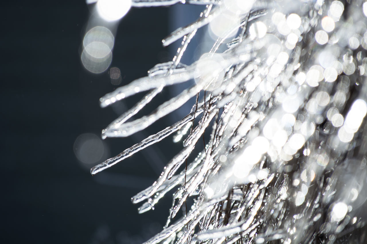CLOSE-UP OF ICE CRYSTALS
