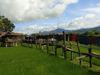 Scenic view of agricultural field against sky