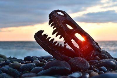 Close-up of stones on beach during sunset