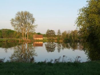 Reflection of trees in water