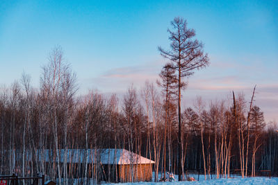 Bare trees by lake against sky during winter