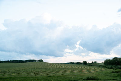 Panoramic view of agricultural field against sky