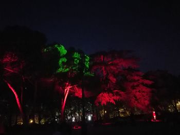 Low angle view of trees against sky at night