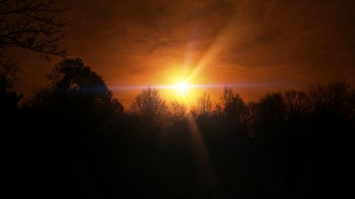Silhouette of trees at sunset