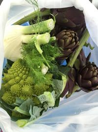 Close-up of food