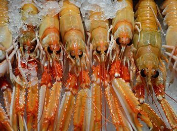 Close-up of lobsters for sale