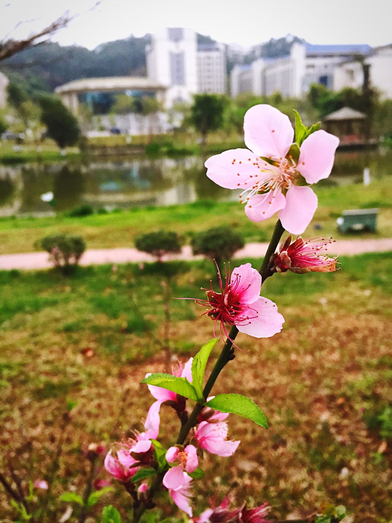 東莞理工學院城市學院