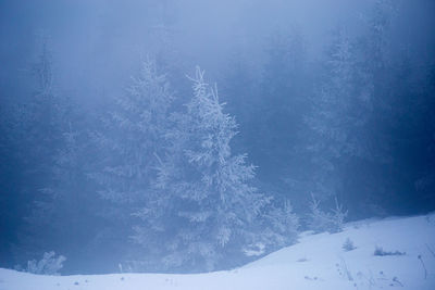 View of snow covered landscape