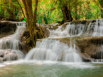 Scenic view of waterfall in forest