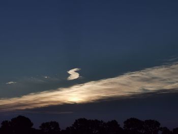 Low angle view of silhouette trees against sky at sunset