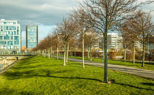 View of park with buildings in background