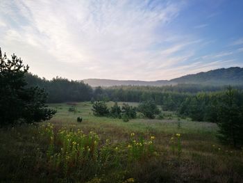 Landscape against sky