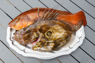 High angle view of fish on plate