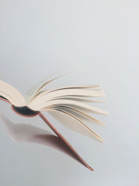 Close-up of open book against white background