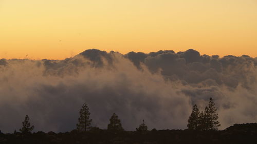 Panoramic view of silhouette trees against sky during sunset