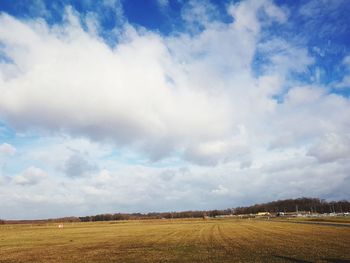 Scenic view of agricultural field against sky