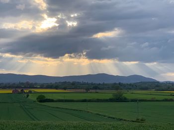 Scenic view of agricultural field against sky during sunset