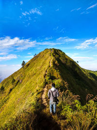 Rear view of man standing on mountain against blue sky