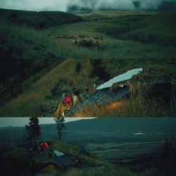 Scenic view of field against sky