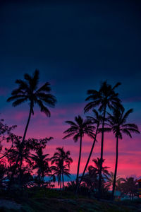 Palm trees on beach against sky during sunset