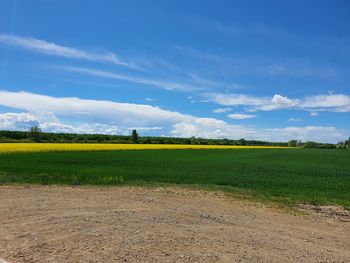 Scenic view of field against blue sky