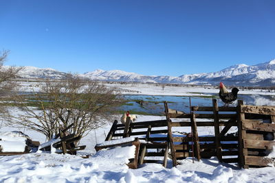 Scenic view of snowcapped mountains against clear blue sky