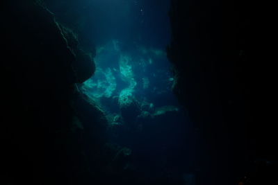 Silhouette of people swimming in sea