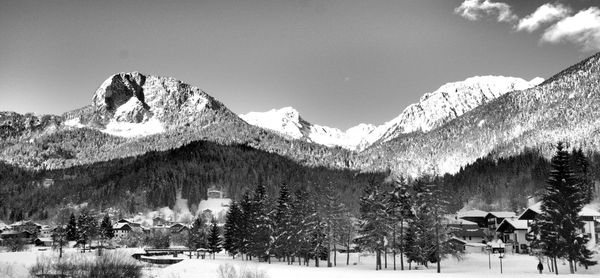 Panoramic view of pine trees on snowcapped mountains against sky