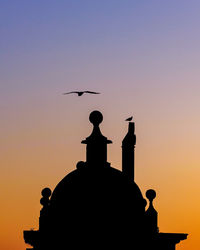 Silhouette of birds at sunset