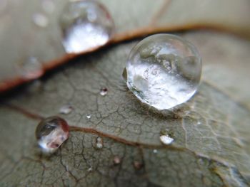 Close-up of water in container