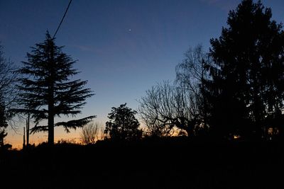 Silhouette trees against clear sky at night