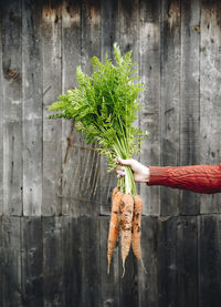 Close-up of vegetables on table